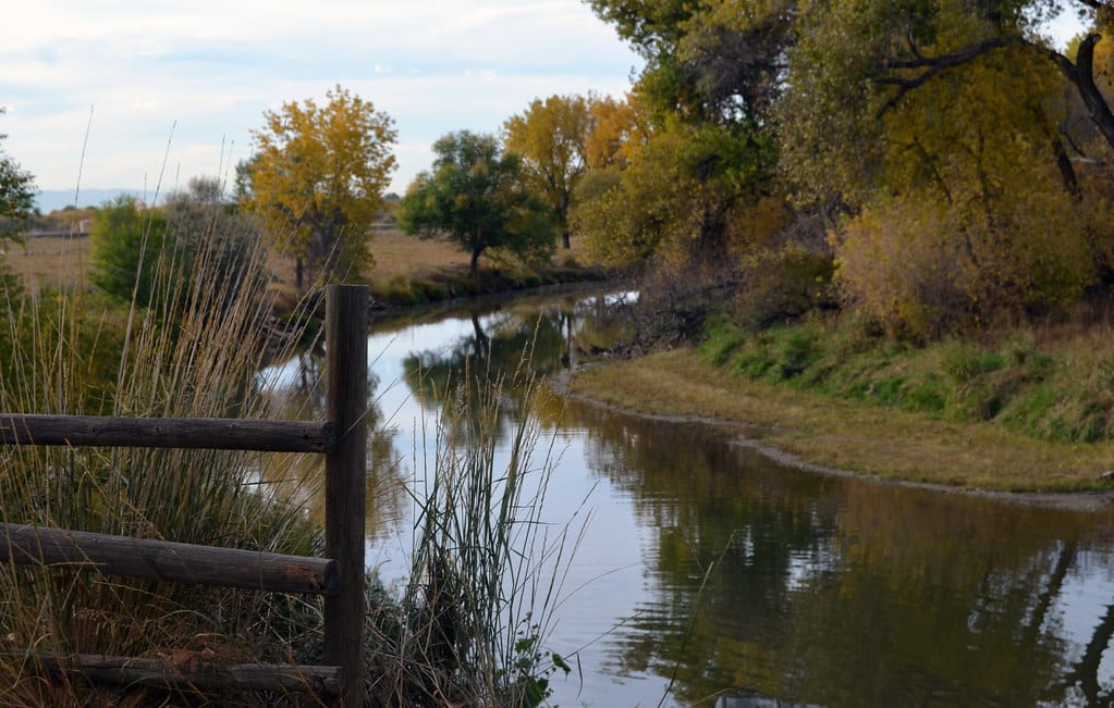 photo of the Poudre River taken from the Poudre River Trail